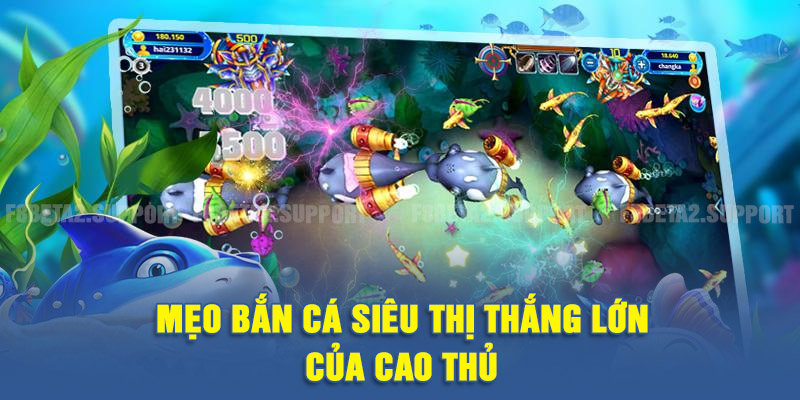 Mẹo bắn cá siêu thị thắng lớn của cao thủ